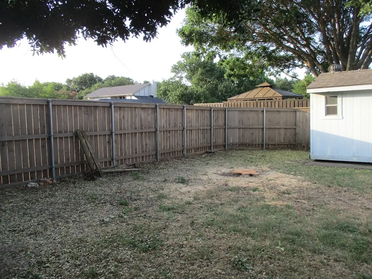Cleared yard after professional tree removal in Humbird